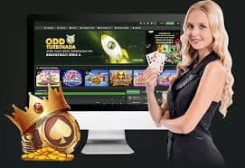 333bet cc